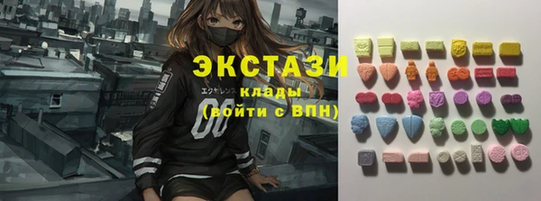 молекула духа Богданович