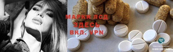 молекула духа Богданович