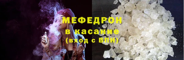 молекула духа Богданович