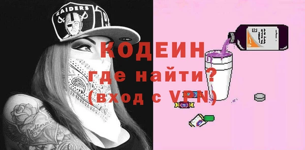 молекула духа Богданович