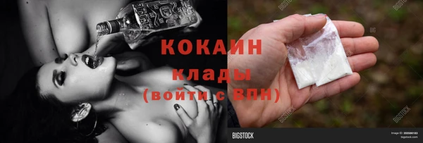 молекула духа Богданович