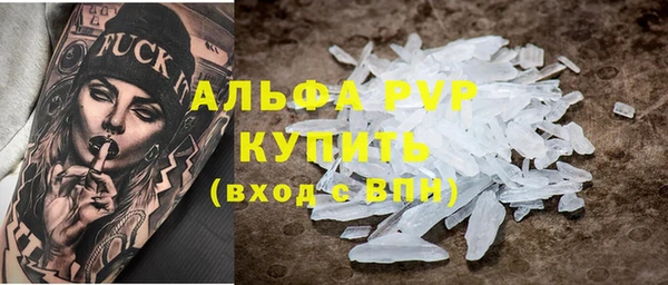 молекула духа Богданович