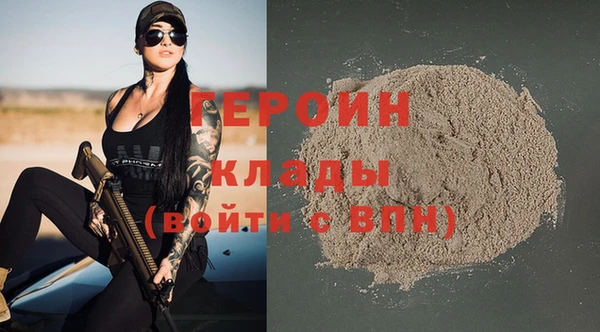 молекула духа Богданович