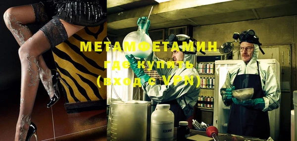 молекула духа Богданович