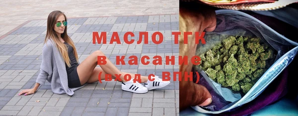 молекула духа Богданович
