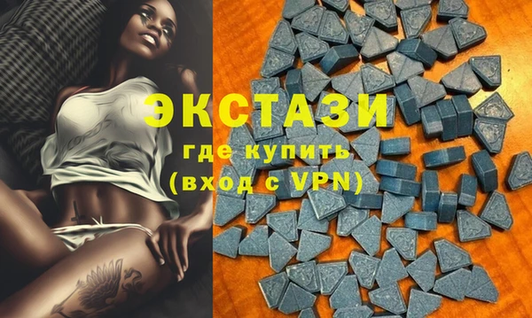 молекула духа Богданович