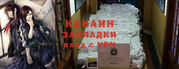 молекула духа Богданович